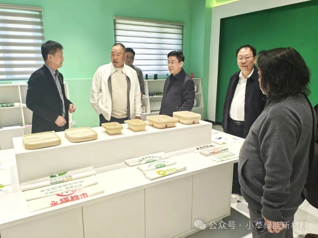 政企同心促发展 关怀赋能启新程&mdash;&mdash;政企考察团莅临小草绿能视察指导